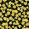 Forget Me Nots Yellow P&B Textiles