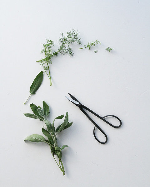 Japanese Garden Scissors