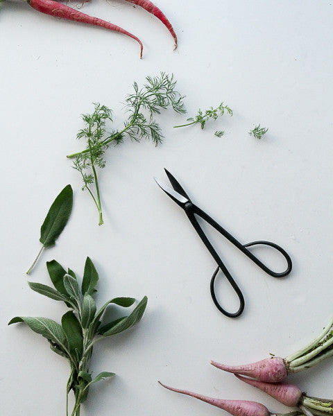 Japanese Garden Scissors
