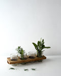 Landis Wall Caddy - 4 Jar