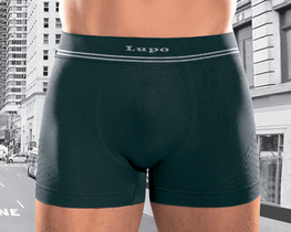 Lupo Men's Microfiber Boxer  Brief  673-2