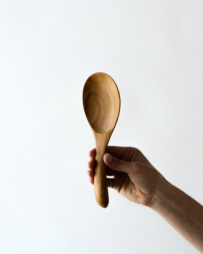 Rice Paddle