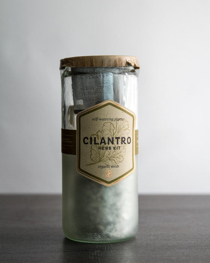 Self-Watering Garden Jar