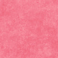 Shadow Play - Flamingo - Maywood Studio - MAS513-PRX
