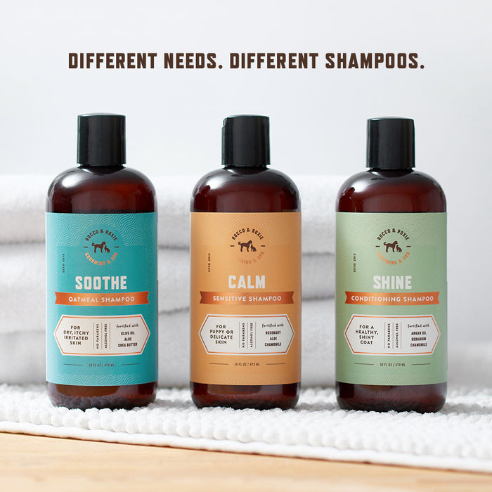 Shine Conditioning Shampoo