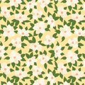 Southern Charm - Main Yellow - Riley Blake - C17440R-YELLOW